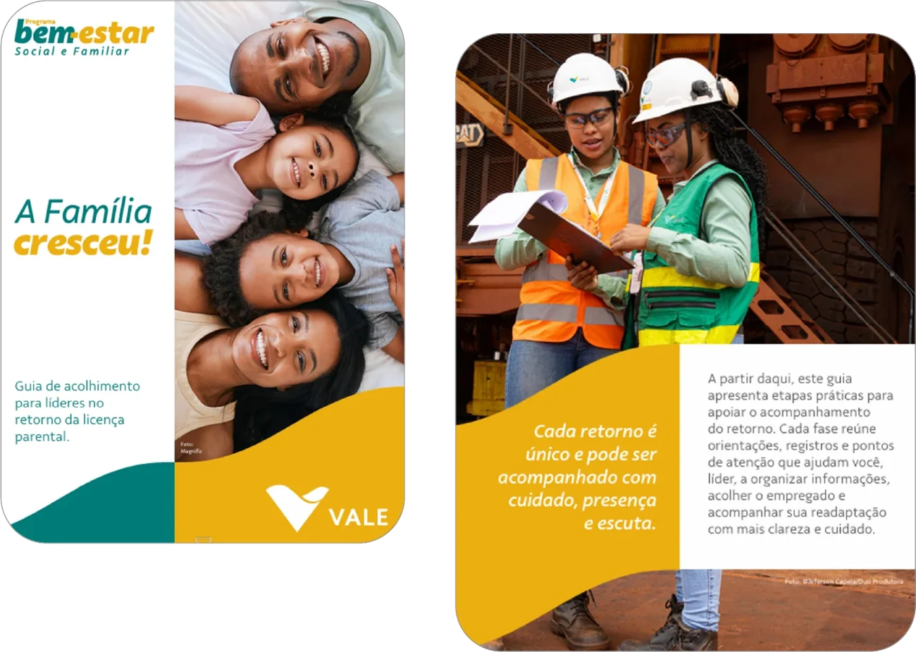 Telas do projeto A FAMÍLIA CRESCEU PROGRAMA BEM-ESTAR VALE