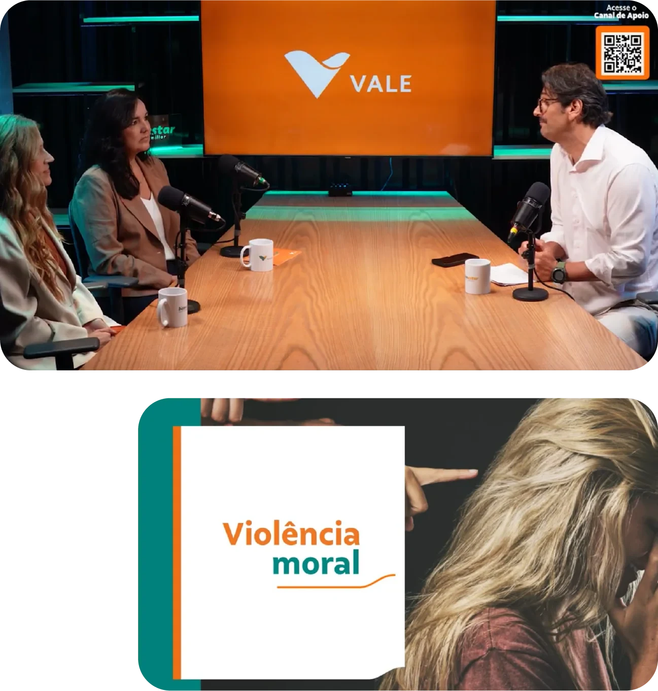 Telas do projeto COMBATE À VIOLÊNCIA DOMÉSTICA VALE